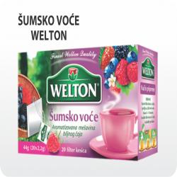 WELTON-CAJ S.VOCE 20/1 